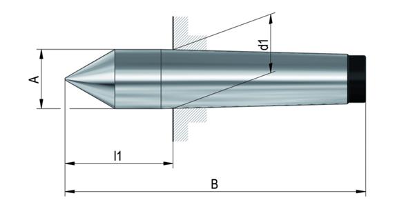 LIZZARD ZENTR-SPITZE WS MK3 60G VSP