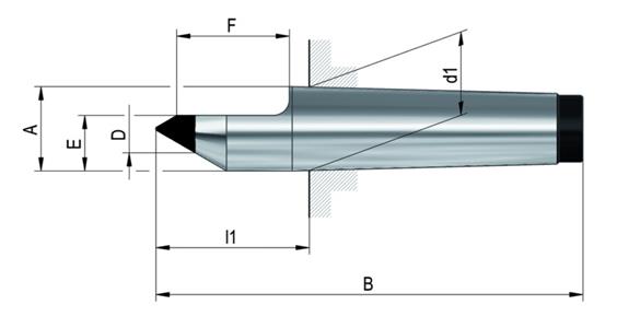 LIZZARD ZENTR-SPITZE WS MK1 HM60G HSP