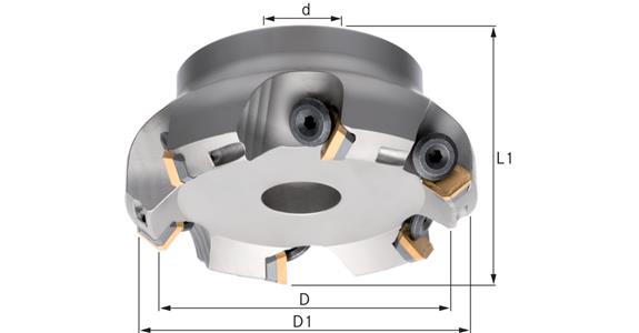 ATORN Głowice frezarskie, 45 stopni 250,0 mm T=13