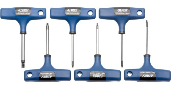 ATORN TX zestaw z uchwytem w kształcie litery T, 6 szt., TX 10-40