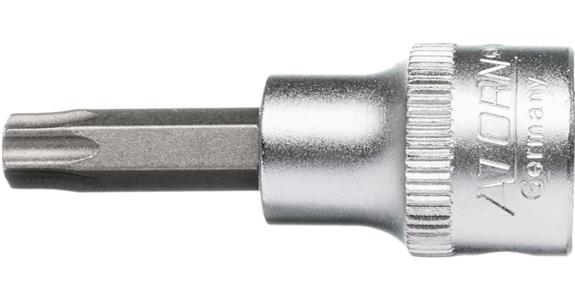 ATORN końcówka wkrętaka do wewnętrznego TX T 40 3/8 cala