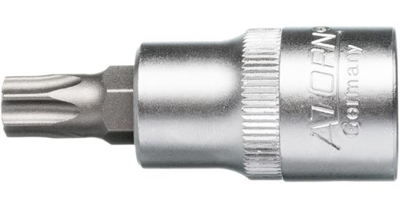 ATORN końcówka wkrętaka do wewnętrznego TX T 45 1/2 cala