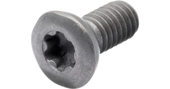 śruba mocująca do płytek wieloostrzowych M4 x 10 mm