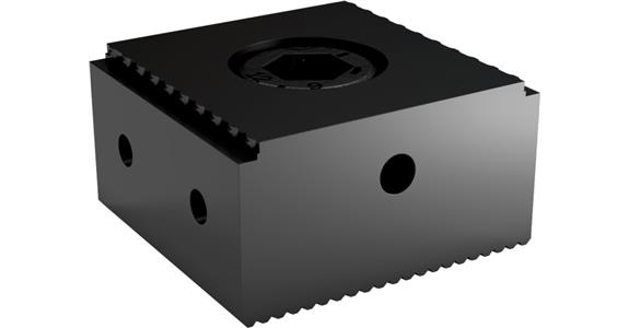 ATORN szczęka stała z ząbkami 42x15 mm M8; z wpustem przesuwnym