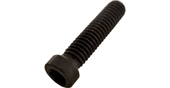 Clamping screw for polygonal shaft RPS400J... Cat. no. 13535 101+102