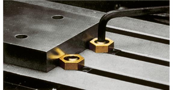 Eccentric clamping screw for T-grooves T18 clamping force 18.0 kN P=2 pcs.