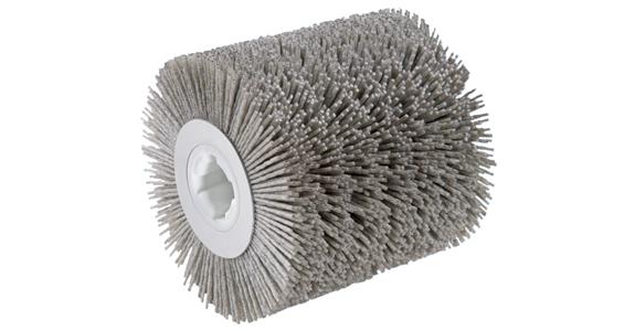 Roller brush plastic (SiC) dia. 100 mm thickness dia. 0.20 mm