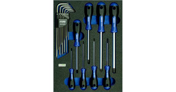 OPT-I-STORE insert 260x345x30 mm for hex./TX® screwdriver set 59614 101
