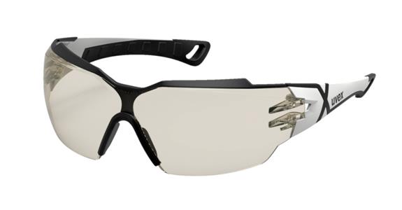 Safety goggles uvex pheos cx2 CBR65 lens grey