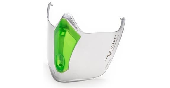 Face guard 6X3 lens transparent