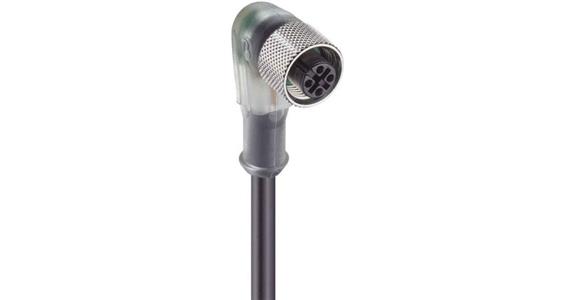 RKWT/LED P4-225/2m Kabeldose M12 gewinkelt