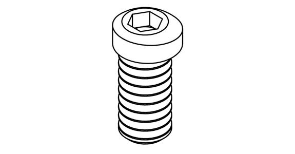 Replacement screw M 8 f. ecc. tensioning clamps art. no. 27222 103 pack = 1 pc.