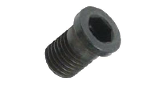 LIZZARD Spannschraube Unterlegplatte 02SUP3008T