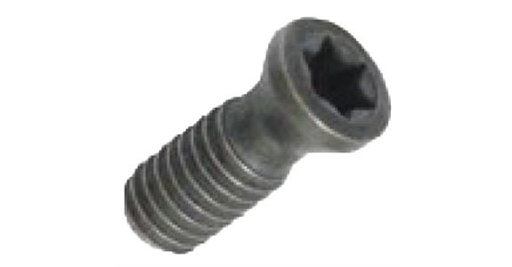 LIZZARD Spannschraube 02STX2506