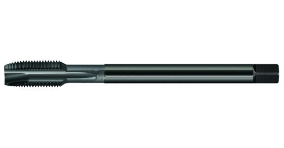Maschinengewindebohrer Q-Tap DIN5156 HSSE VAP Form B 0° G2-11