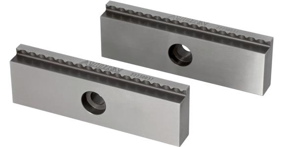 ATORN szczęki z zębami KB-G, 160 mm ze stopniem mocowania 8x5 mm, odpowiednie do Allmatic