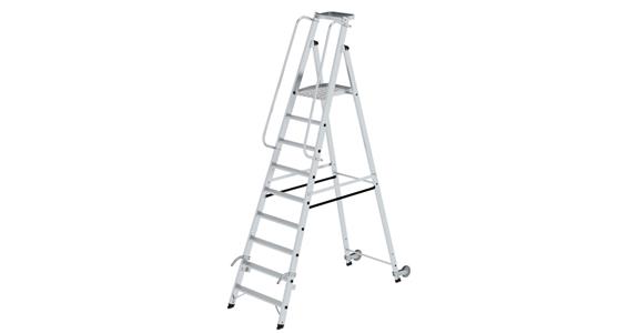 Platform ladder 9 steps including platform platform height 2.07 m