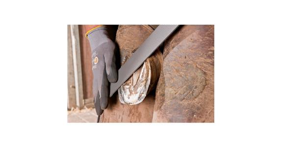 Hufhobel Flachstumpf 350mm Planhobeln und Feinbearbeitung der Hufe